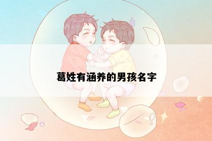 葛姓有涵养的男孩名字