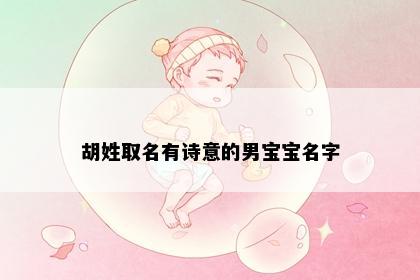 胡姓取名有诗意的男宝宝名字