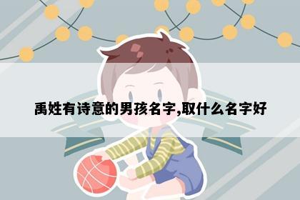 禹姓有诗意的男孩名字,取什么名字好